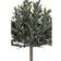 House Nordic Olive Artificial Plant