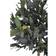 House Nordic Olive Artificial Plant