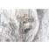 Dkd Home Decor Elephant Colonial Tavla 120x120cm 2st