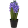 Winteria Hyacinth Konstgjord växt