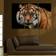 Arkiio A Wild Tiger Billede 60x40cm 3stk