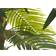 Europalms Phoenix Palm Deluxe Kunstig plante