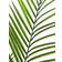 Europalms 82509441 Kunstig plante