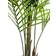 Europalms 82509441 Kunstig plante