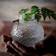 Ernst Glass Clear Vase 14cm