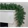Northlight Colorado Spruce Decoration