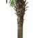 Europalms Phoenix Palm Tree Luxor Konstgjord växt