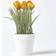 Homescapes Tulips Artificial Plant