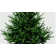 Premier Glenshee Spruce Artificial Christmas Tree 210cm