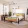 vidaXL Metal Black Sengeramme 180x200cm