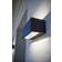 Lutec Gemini Wall light