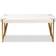 Baxton Studio Kassa Collection Coffee Table