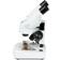 Celestron Labs S20 Angled Stereo Microscope