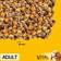 Pedigree Adult Dry Dog F​ood Chicken & Vegetables 15kg