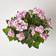 Homescapes Pink Hydrangea Artificial Plant