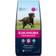 Eukanuba Professional Adult Large Breed 18kg