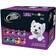 Cesar Canine Cuisine Wet Dog Food 4