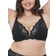 Oola Fan Lace Half Padded Bra