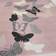 Homemaker Maestro Butterfly Pink, Grey 120x170cm