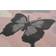 Homemaker Maestro Butterfly Pink, Grey 120x170cm
