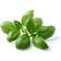 Click and Grow Basil Plant Pods 3-pack Plantenæring