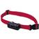 PetSafe Deluxe UltraLight Collar