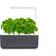 Click and Grow Smart Garden 3