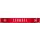 Hummel DBU Denmark Fan Scarf