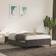 vidaXL Velvet Sengeramme 120x200cm