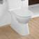 Villeroy & Boch Vicare (4620R001)