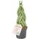 Sansevieria Cylindrica Braid - African Spear Ø9cm Potteplante