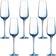 Chef & Sommelier Sublime Champagne Glass 21cl 6pcs