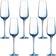 Chef & Sommelier Sublime Champagneglas 21cl 6st