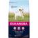 Eukanuba Senior Small Breed Dry Dog Food Chicken 3kg