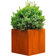 GrillSymbol Clara M Pot Krukke