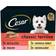 Cesar Classics Terrine Dog Food Trays 8x150g