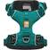 Ruffwear Front Range Dog Harness