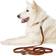 Hunter Line Solid Education Cognac Dog Leash 200cm/11mm