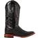 Ferrini TaylorTeju Lizard Square Toe Boots M