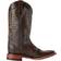 Ferrini TaylorTeju Lizard Square Toe Boots M