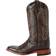 Ferrini TaylorTeju Lizard Square Toe Boots M