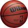 Wilson NBA Authentic Series