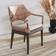 Safavieh Carlo Arm Lounge Chair