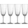 Bloomingville Asali Champagne Glass 27.5cl 4pcs