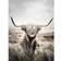 Estancia Highland Cattle Tavla 75x100cm