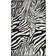 Conceptum Hypnose Zebra Vit, Svart 100x300cm