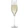 Holmegaard Cabernet Champagneglas 29cl 6stk
