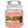 Yankee Candle The Last Paradise Bougie Parfumée 411g