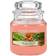 Yankee Candle The Last Paradise Doftljus 411g
