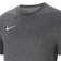 NIKE Dri-FIT Park 20 T-shirt Men - Charcoal Heather/White